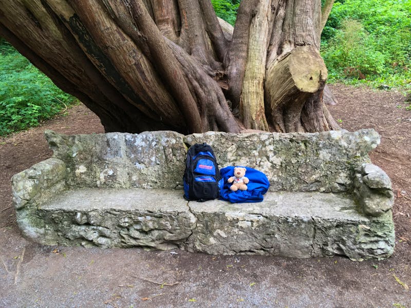 Wanderung im Coole Park - ©Andreas Wolfsteller - Eberhardt TRAVEL