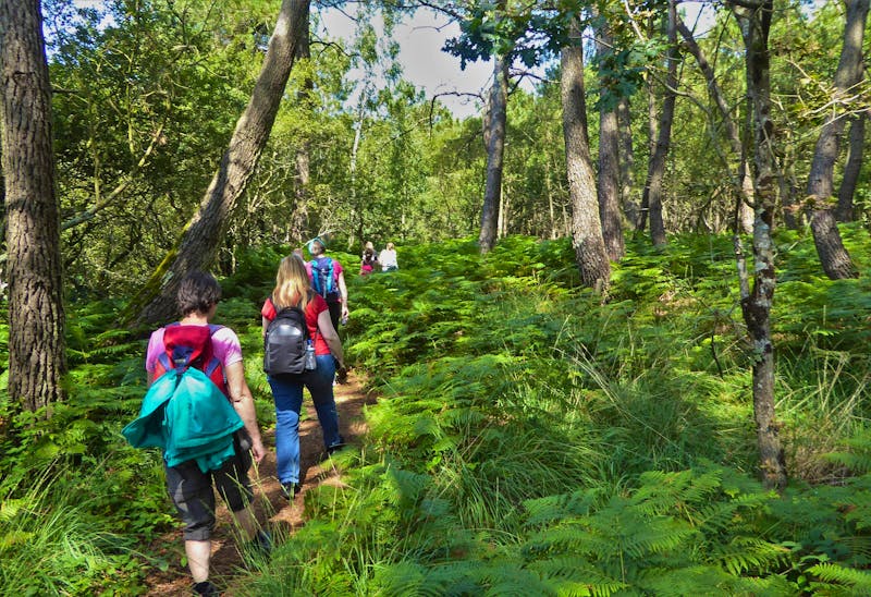 Wanderung bei Erdeven in der Bretagne - ©Gabriele Sauer - Eberhardt TRAVEL