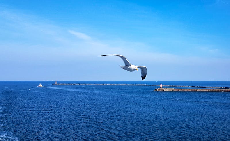 Fährüberfahrt Amsterdam-Newcastle - ©Marlies Thrum - Eberhardt TRAVEL