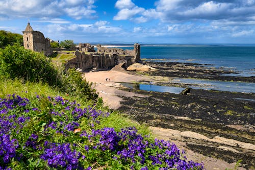 St Andrews Castle in Schottland &ndash; &copy; Reimar Gaertner - Adobe Stock