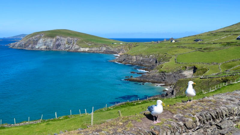 Slea Head - Halbinsel Dingle - ©Petra Sauer - Eberhardt TRAVEL
