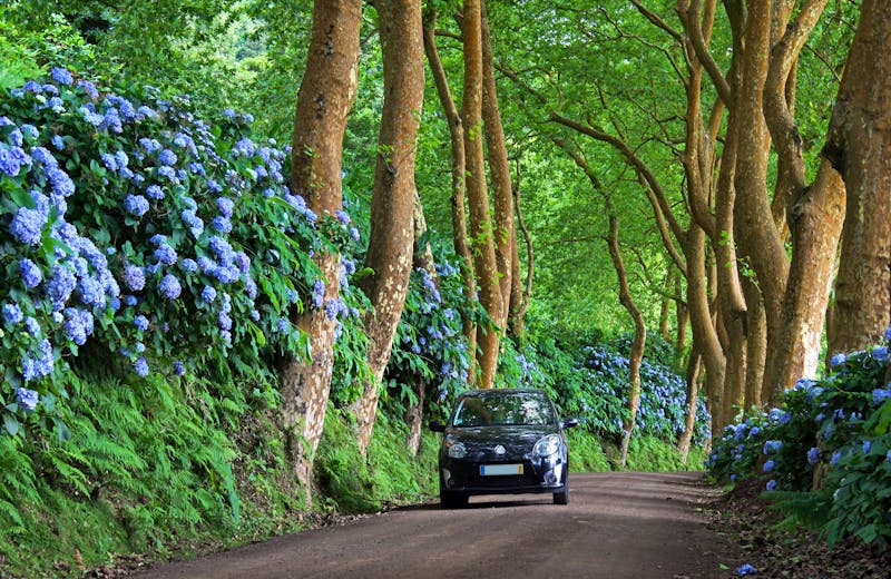 Mietwagen Rundreise auf der Azoren-Insel Sao Miguel - ©Henner Damke - stock.adobe.com