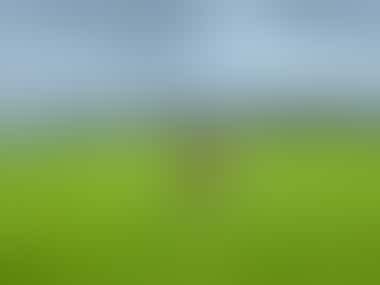 Nationalgestüt Kildare - ©Andreas Wolfsteller - Eberhardt TRAVEL