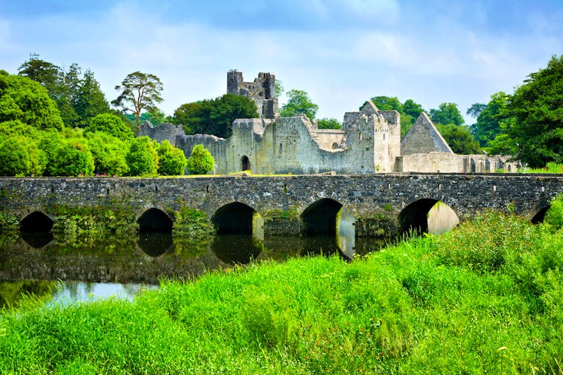 Desmond Castle in Irland - ©Jenifoto - stock.adobe.com