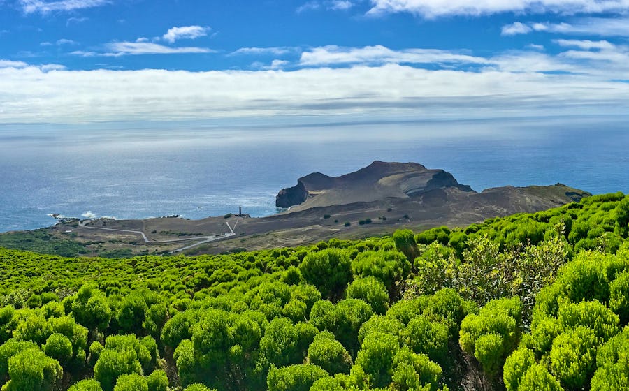 Halbinsel Capelinhos auf Faial – © Sário Nunes - stock.adobe.com