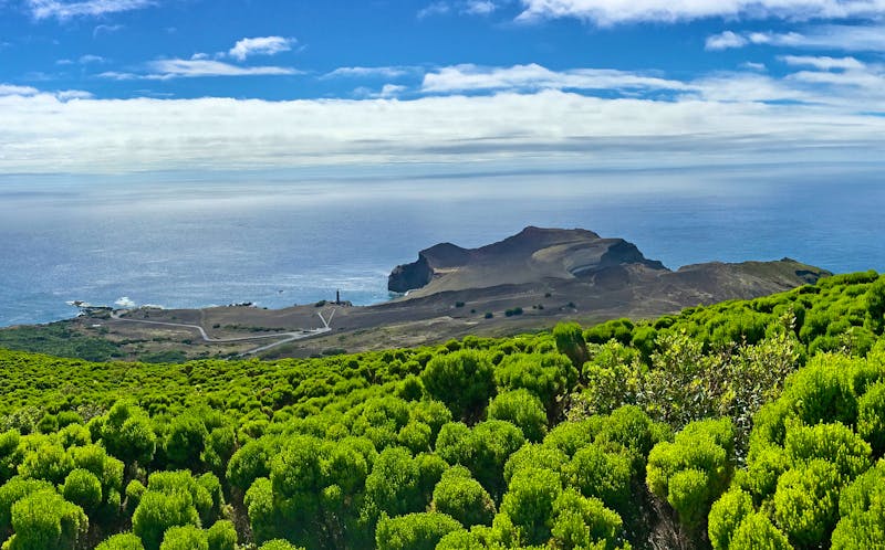 Halbinsel Capelinhos auf Faial - ©Sário Nunes - stock.adobe.com