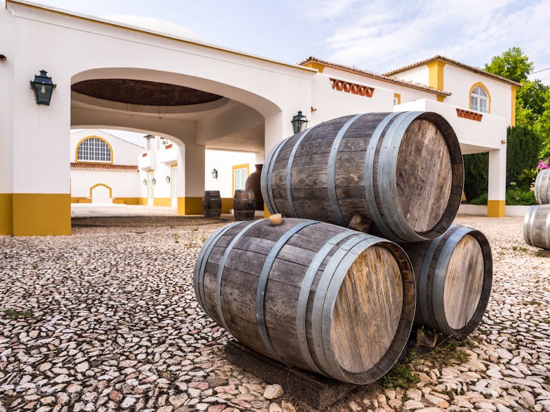 Weinfässer im Alentejo - Portugal - ©Magdalena Paluchowska - stock.adobe.com