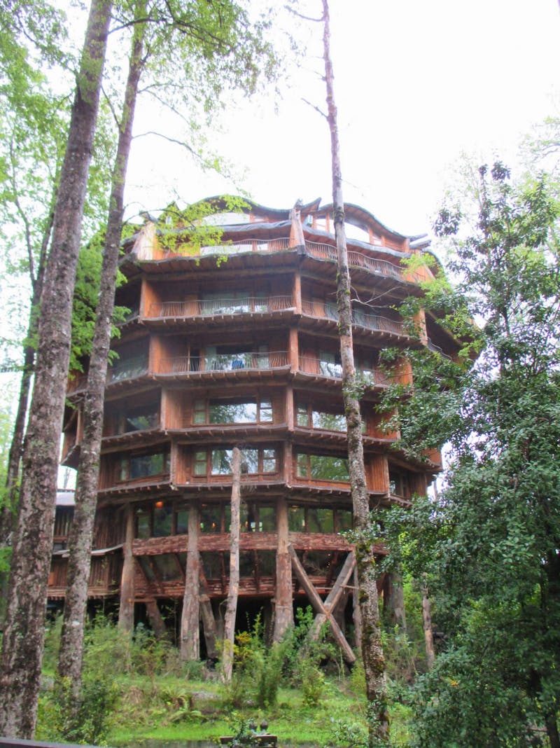 Baumhaus-Hotel Nothofagus - Chile - ©Sylvia Sann