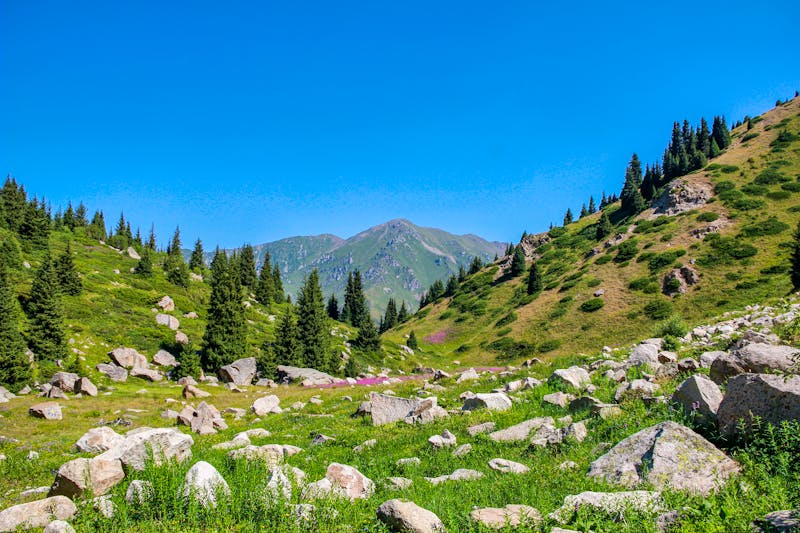 Ile-Alatau Nationalpark in Kasachstan - ©Alexey Kirillov - stock.adobe.com