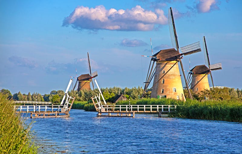 Windmühlen von Kinderdijk in Holland - ©Tommy Mees - stock.adobe.com
