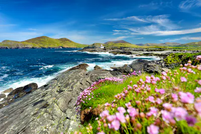 Singlereise Irland &ndash; Erlebnis Grüne Insel