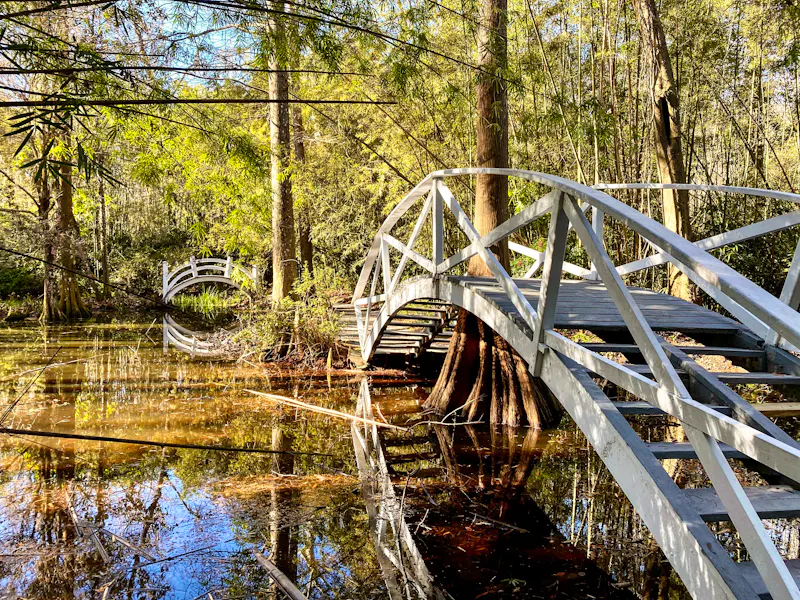 Magnolia Plantation in Charleston - &copy;Jeannette - stock.adobe.com