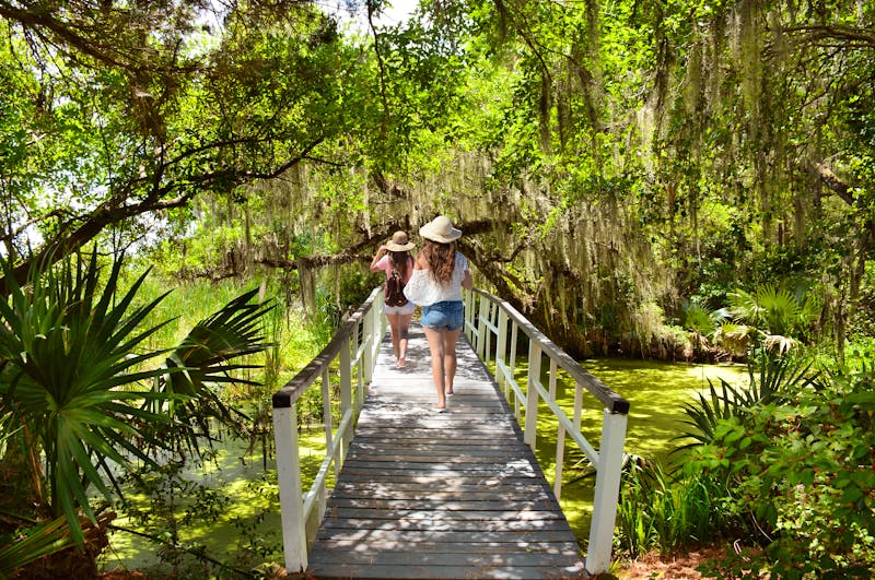 Magnolia Plantation in Charleston - ©Margaret - stock.adobe.com