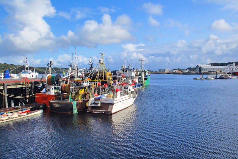 Hafen von Killybegs in Irland - ©Constanze Maißel - Eberhardt TRAVEL