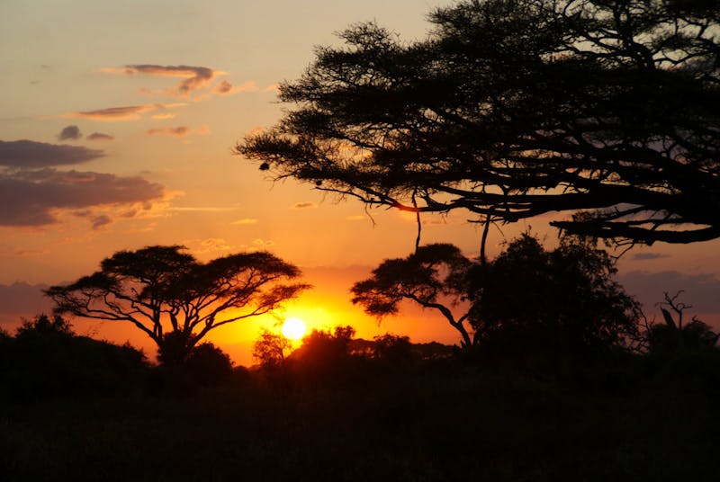 Abendstimmung im Amboseli Nationalpark - ©Susanne Schirmann - Eberhardt TRAVEL