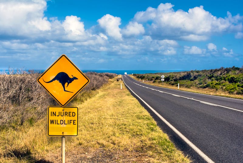 Great Ocean Road in Süd-Australien - ©abhijit patil/EyeEm - stock.adobe.com