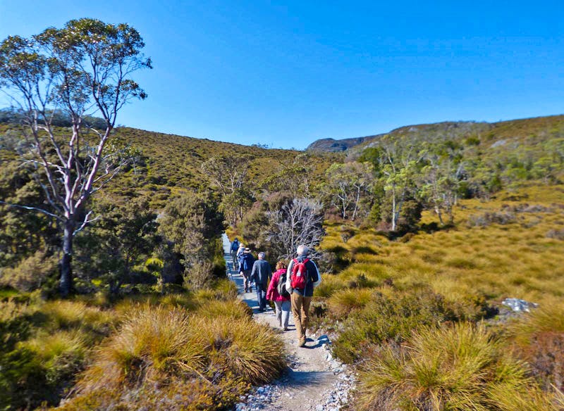 Wanderung im Cradle Mountain Nationalpark auf Tasmanien - ©Maria Michel - Eberhardt TRAVEL
