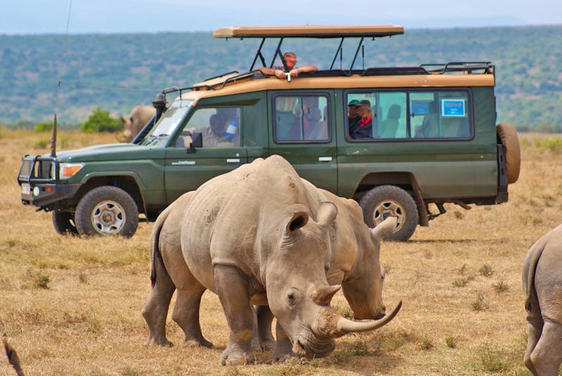 Jeep-Safari im Solio-Reservat in Kenia - ©Susanne Schirmann - Eberhardt TRAVEL