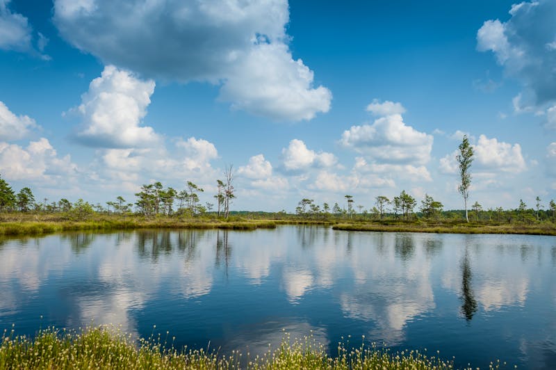 Soomaa-Nationalpark in Estland - ©Regina - stock.adobe.com