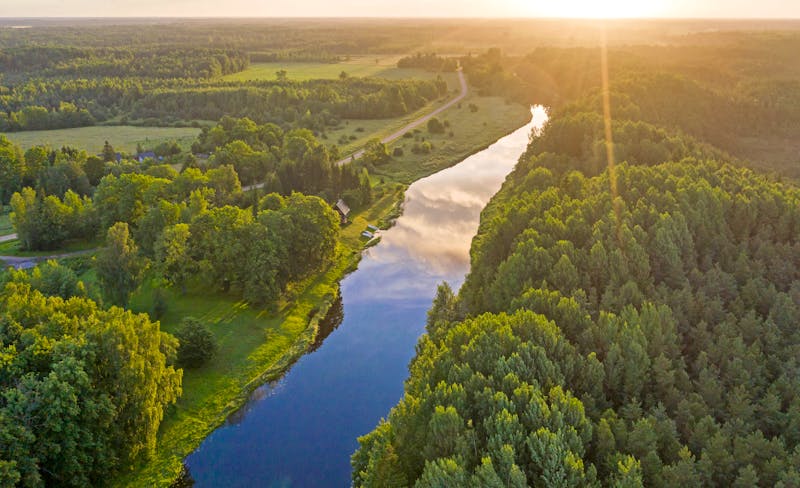 Soomaa-Nationalpark in Estland - ©Mati Kose - stock.adobe.com
