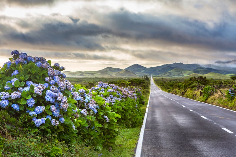 Rundfahrt auf der Azoren-Insel Pico - ©EyesTravelling - Adobe Stock