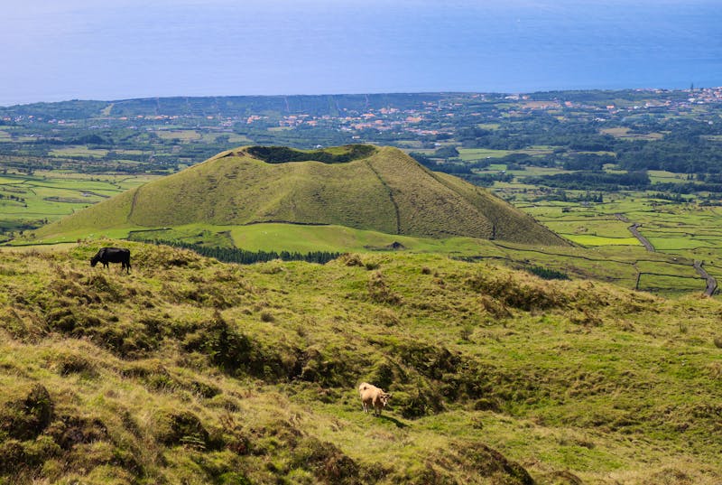 Vulkanlandschaft auf der Azoren-Insel Pico - ©Stefano - stock.adobe.com