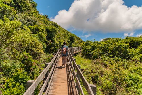 Wandersteg an den Schwefelquellen von Enxofre auf der Insel Terceira &ndash; &copy; Wirestock Creators - stock.adobe.com