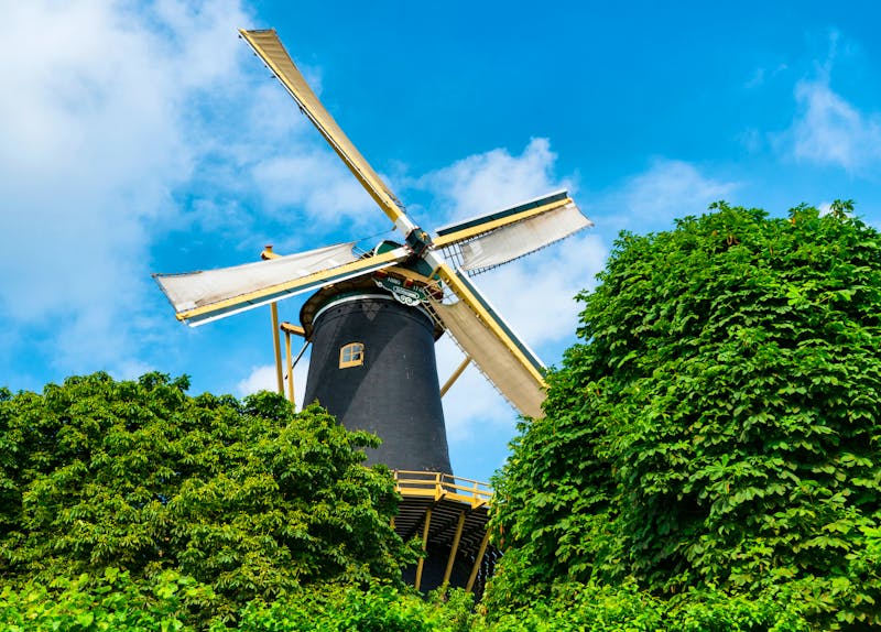 Windmühle in Woerden - ©Corinne - stock.adobe.com