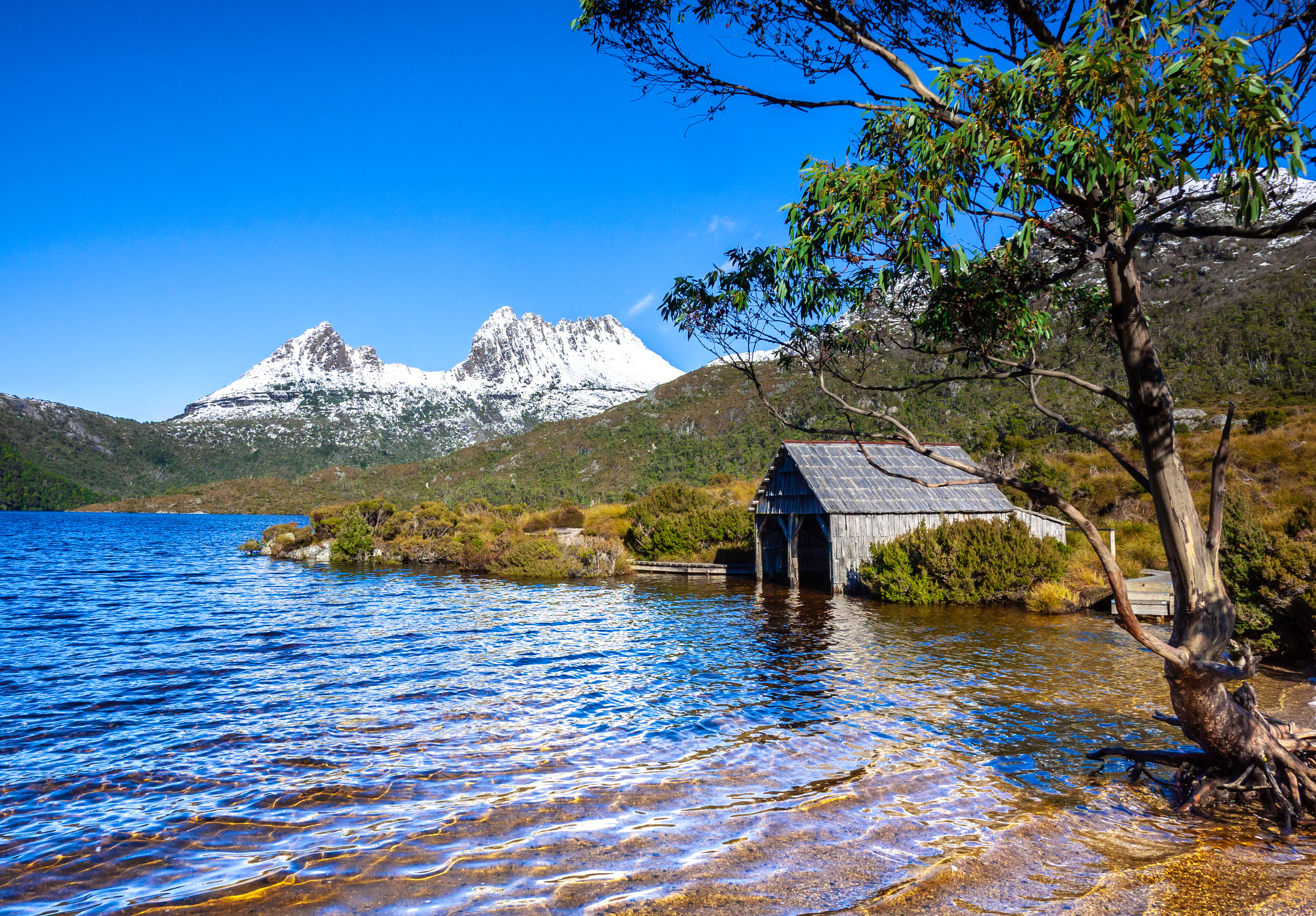 Cradle Mountain Nationalpark auf Tasmanien &ndash; &copy; Shuang Li - stock.adobe.com