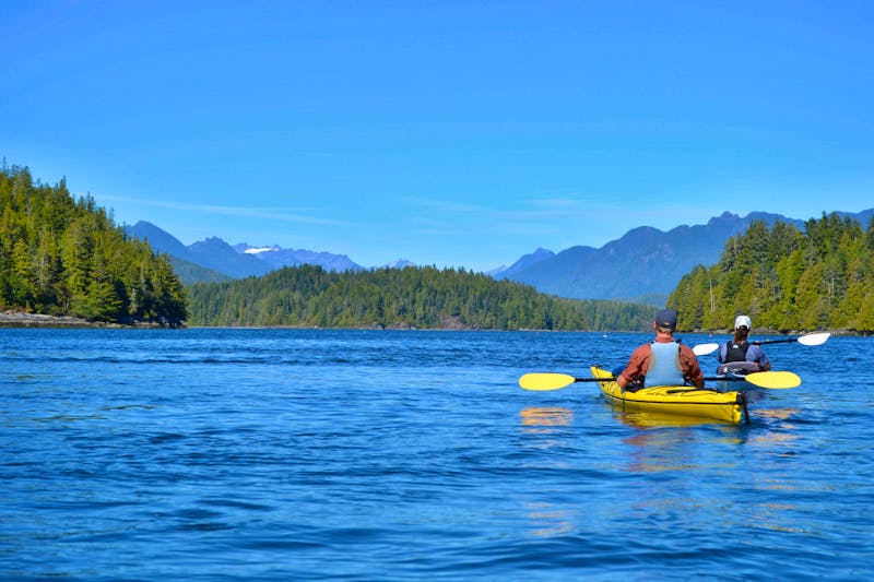 Kajak-Tour bei Vancouver Island & Quadra Island - ©Anna - stock.adobe.com