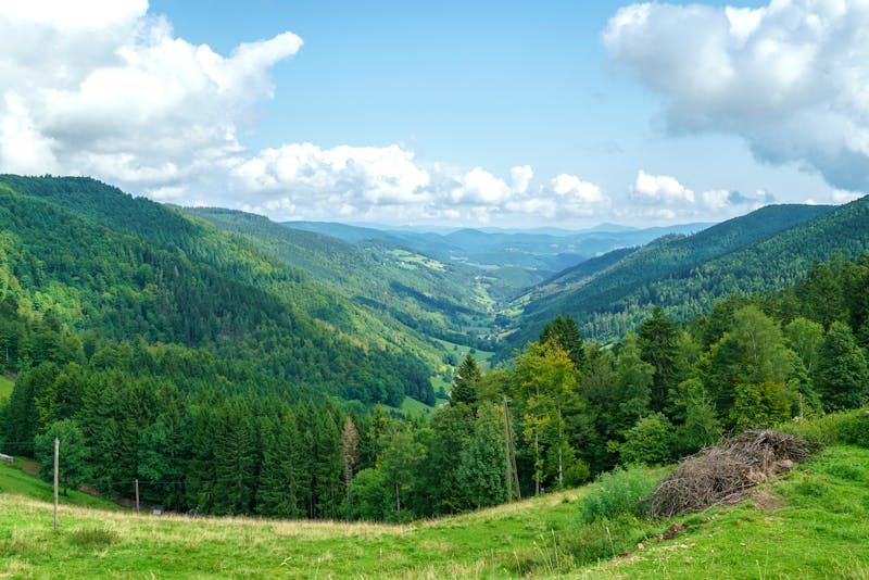 Rundfahrt durch die Vogesen in Frankreich - ©Michael Fox - Adobe Stock