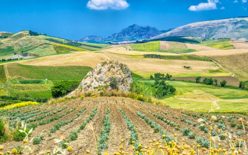 Bergland im Inselinneren Siziliens bei Corleone &ndash; &copy; rolf_52 - stock.adobe.com