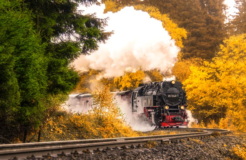 Schmalspurbahn - ©Janni - stock.adobe.com