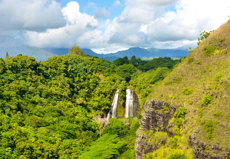 Ausflug ins Inselinnere von Kauai - ©Anne Schröder - Eberhardt TRAVEL