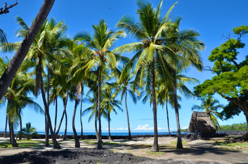 Historische Stätte Puuhonua O Honaunau an der Westküste von Big Island - ©Anne Schröder - Eberhardt TRAVEL