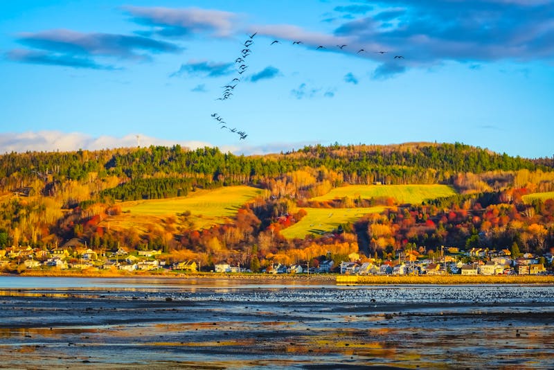 Indian Summer bei La Baie am Saguenay River - ©Ketsarin - stock.adobe.com