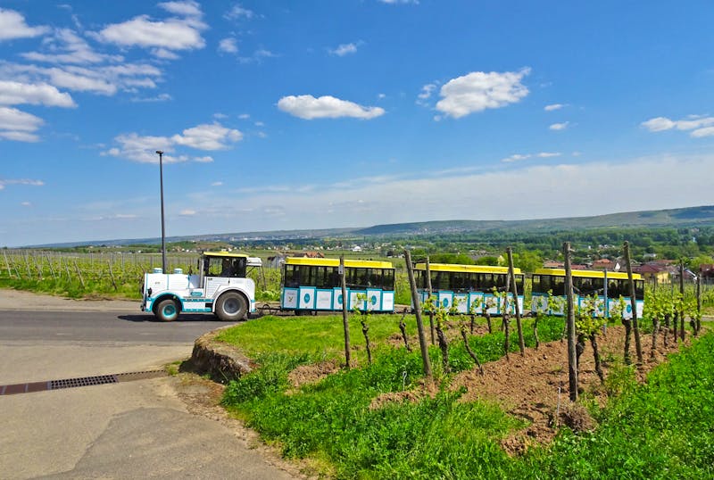 Winzerexpress in Rüdesheim - ©Sabine Letzybyll - Eberhardt TRAVEL