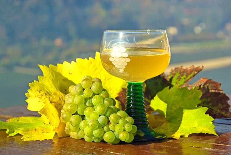 Wein am Rhein - ©LianeM - stock.adobe.com