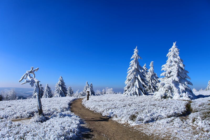 Winter im Hochsauerland - &copy;Rudolf Himmelrath - stock.adobe.