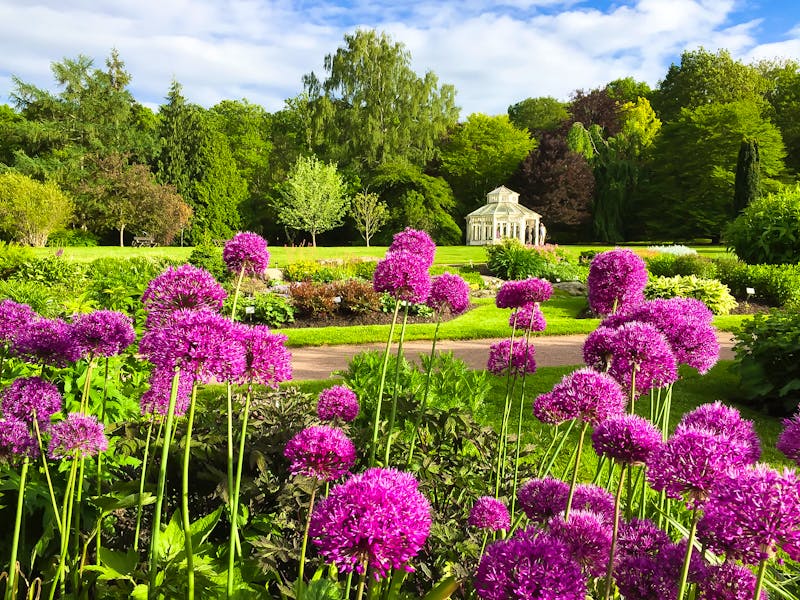 Botanischer Garten in Göteborg - ©Taljat - stock.adobe.com