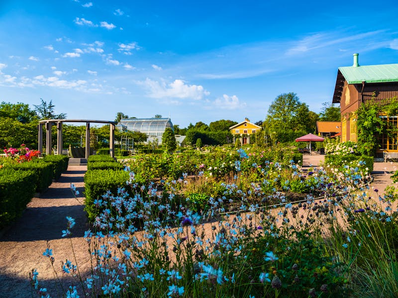 Botanischer Garten in Göteborg - &copy;Mikael Svensson - stock.adobe.com