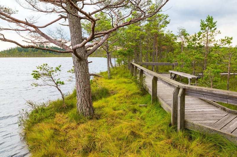 Wanderweg im Store Mosse Nationalpark - ©Lars Johansson - stock.adobe.com
