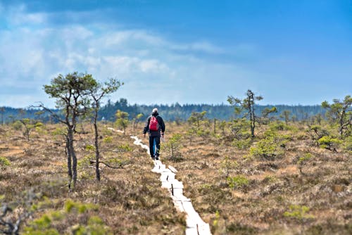 Wanderung im Store Mosse Nationalpark in Südschweden &ndash; &copy; Sebastian - stock.adobe.com