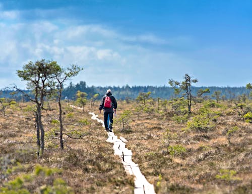 Wanderung im Store Mosse Nationalpark in Südschweden – © Sebastian - stock.adobe.com