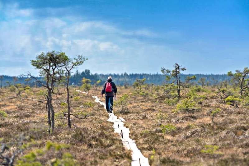 Wanderung im Store Mosse Nationalpark in Südschweden - ©Sebastian - stock.adobe.com
