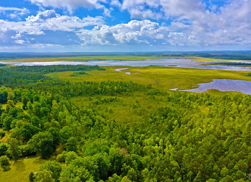 Store Mosse Nationalpark in Südschweden - ©Guillaume - stock.adobe.com