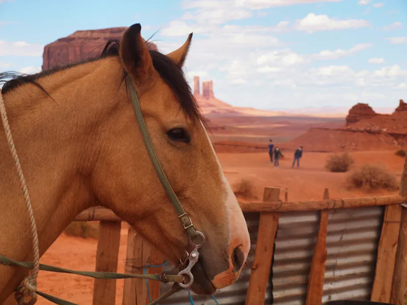 Ausflug ins Monument Valley - &copy;Juliane Voigt - Eberhardt TRAVEL