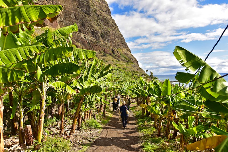 Wanderung zum Bauernhof Faja dos Padres auf Madeira - ©spacetech - stock.adobe.com
