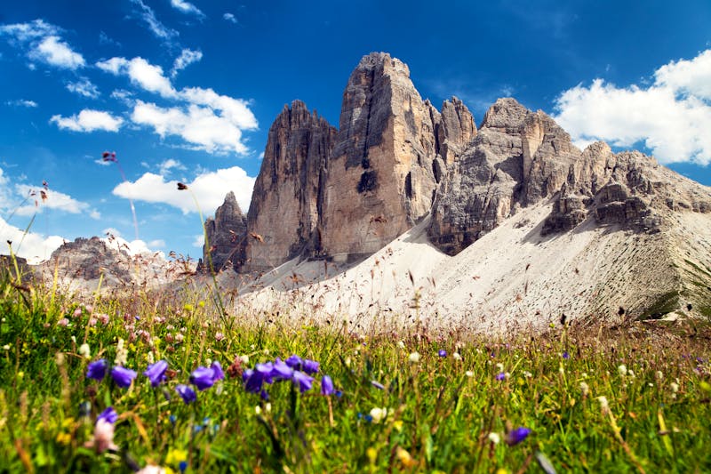 Drei Zinnen in den Dolomiten - ©Daniel Prudek - stock.adobe.com