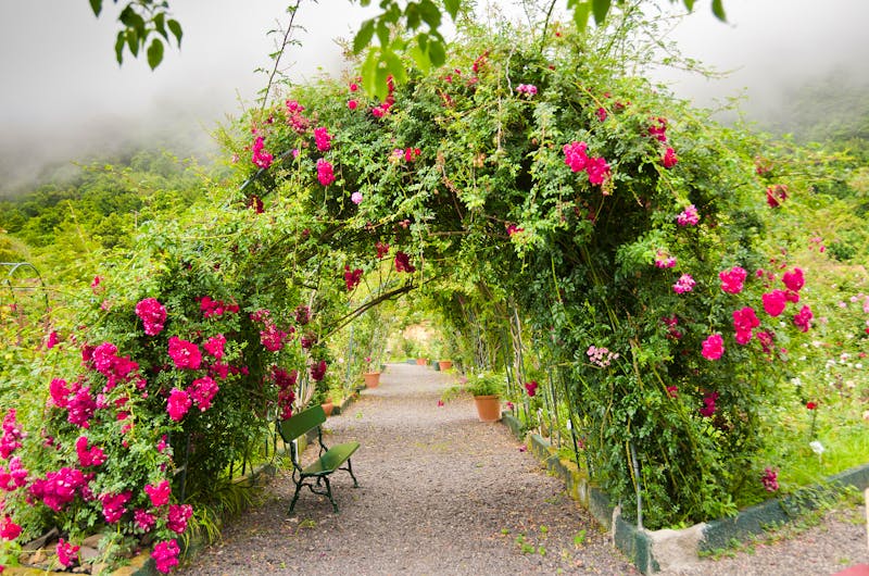 Rosengarten auf Madeira - ©Brinja - stock.adobe.com